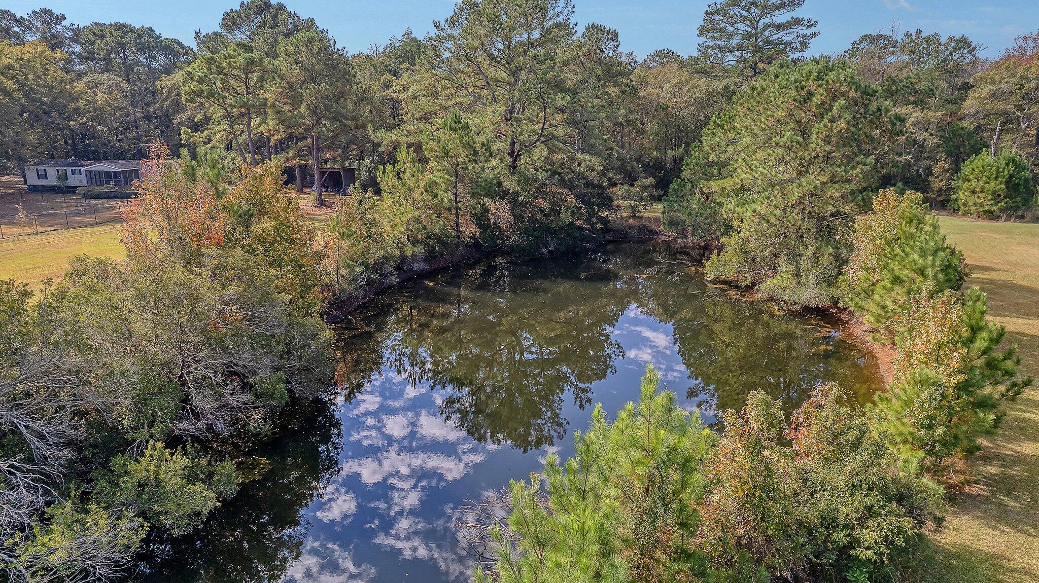 4275 Sebago Road Meggett, SC 29449 - Photo 54 of 54 58-web-or-mls-CREM_4275 Sebago Aerials_0