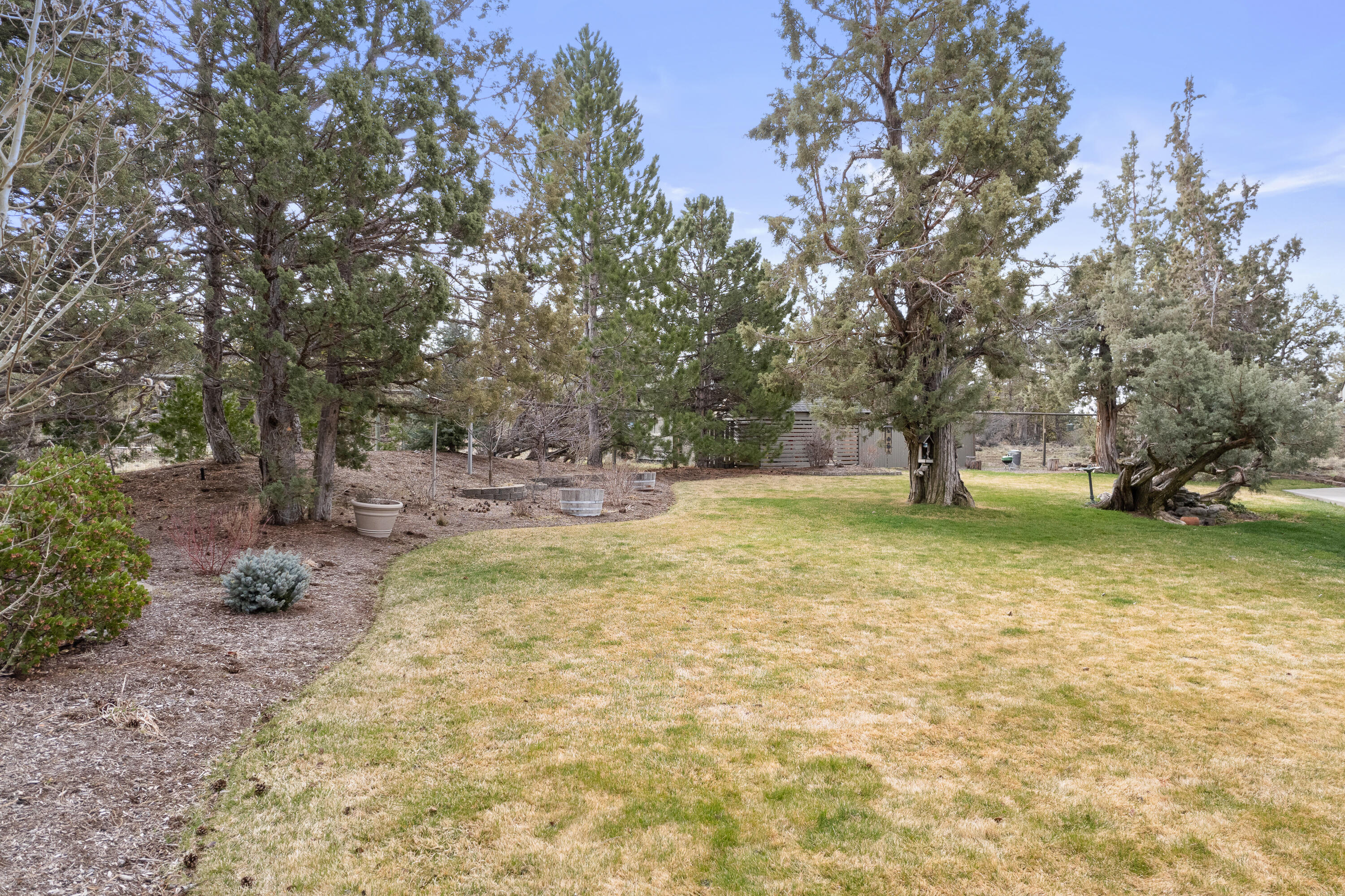 70030 Meadow View Road Sisters, OR 97759 - Photo 31 of 43 a view of yard with tree