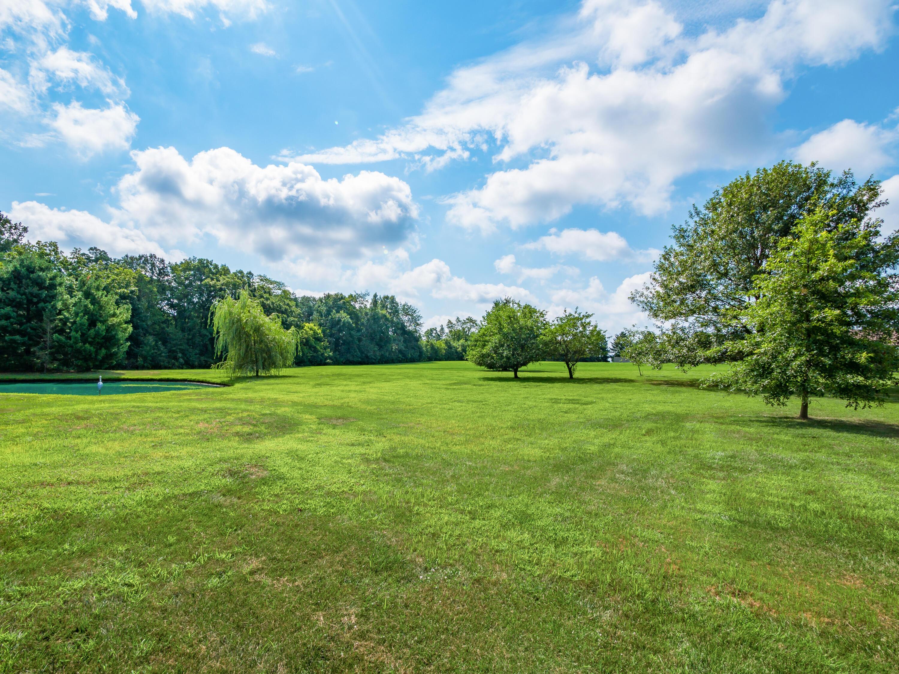 3216 Kelly McMaster Road Delaware, OH 43015 - Photo 45 of 51 Back yard