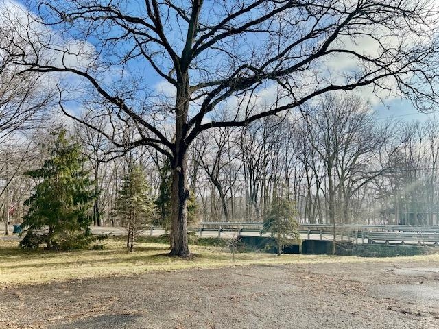 8894 North Il Route Byron, IL 61010 - Photo 13 of 13 a view of a yard with a large tree