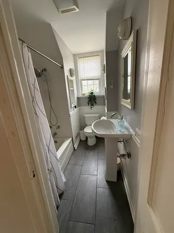 a view of a backyard with large trees