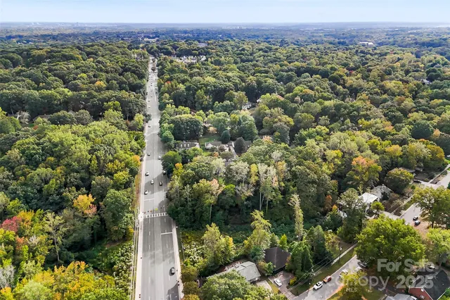 a view of a city with lush green forest