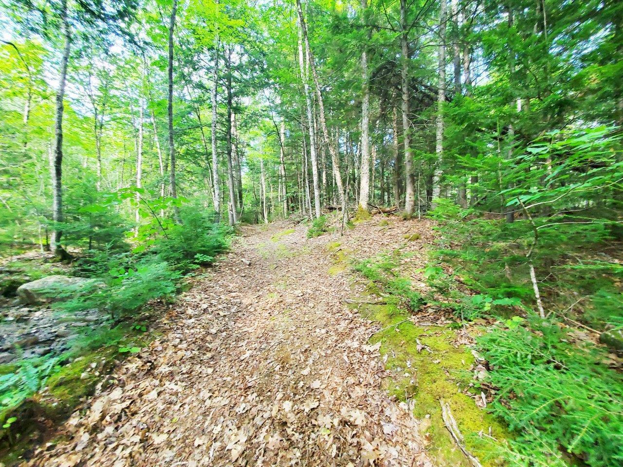 501 Pullen Woods Road Palermo, ME 04354 - Photo 59 of 62 20260717_154549 A