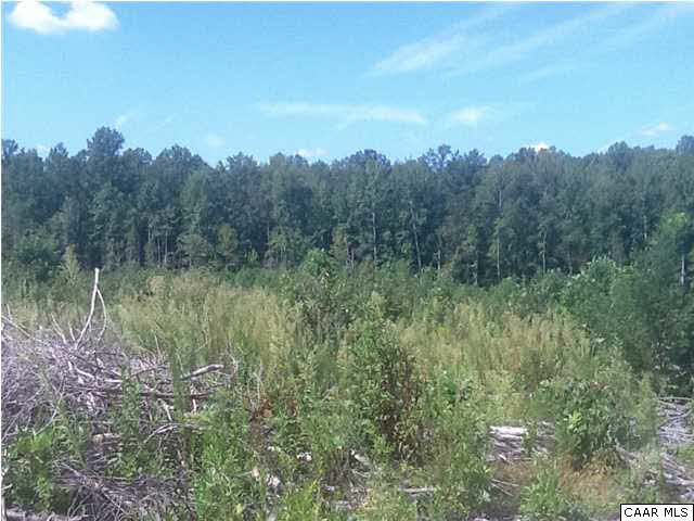1 Waltons Store Road Louisa, VA 23093 - Photo 5 of 6 Gallery Image 5
