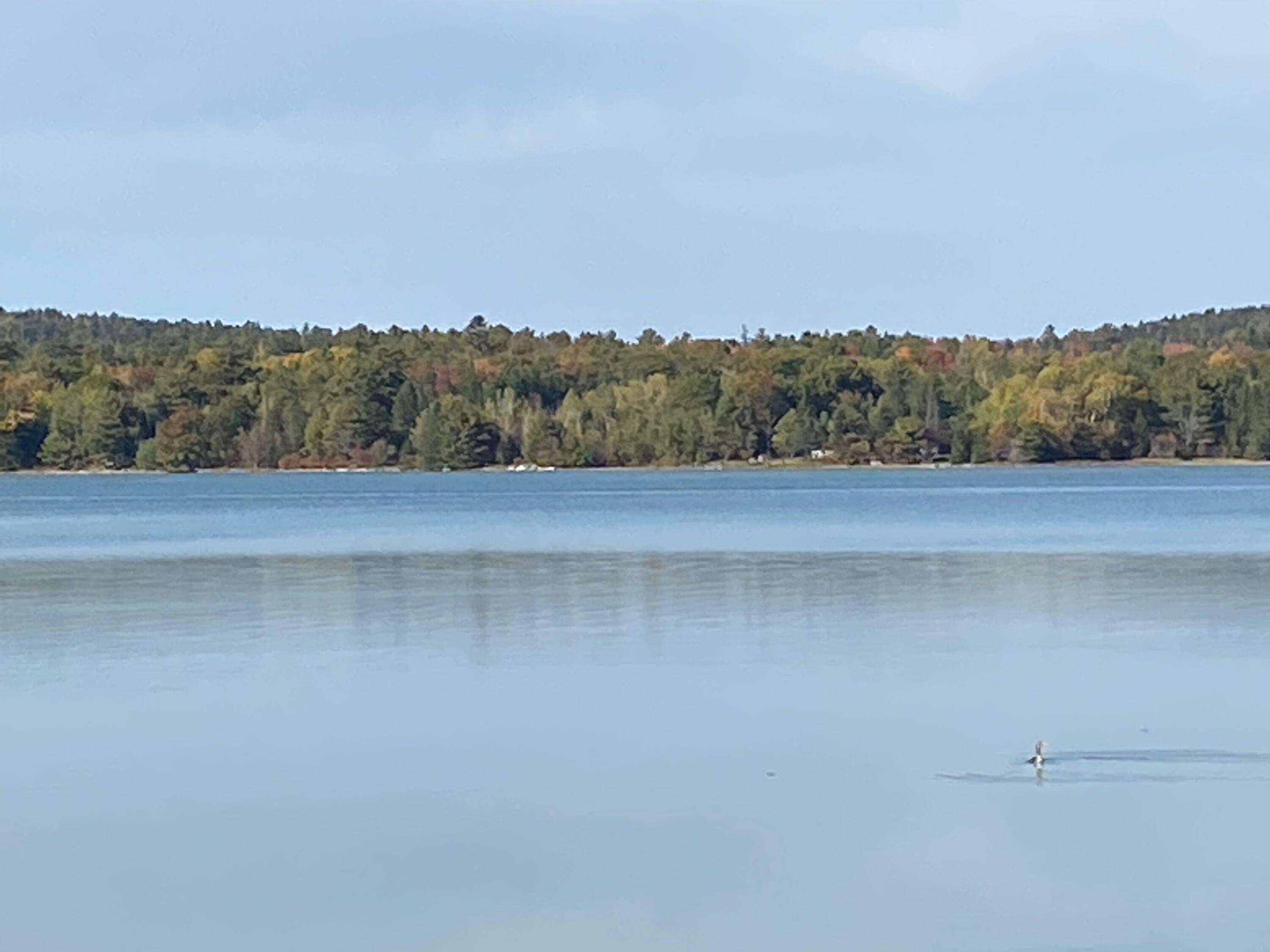 0 South Bay Road Franklin, ME 04634 - Photo 14 of 16 IMG_0432