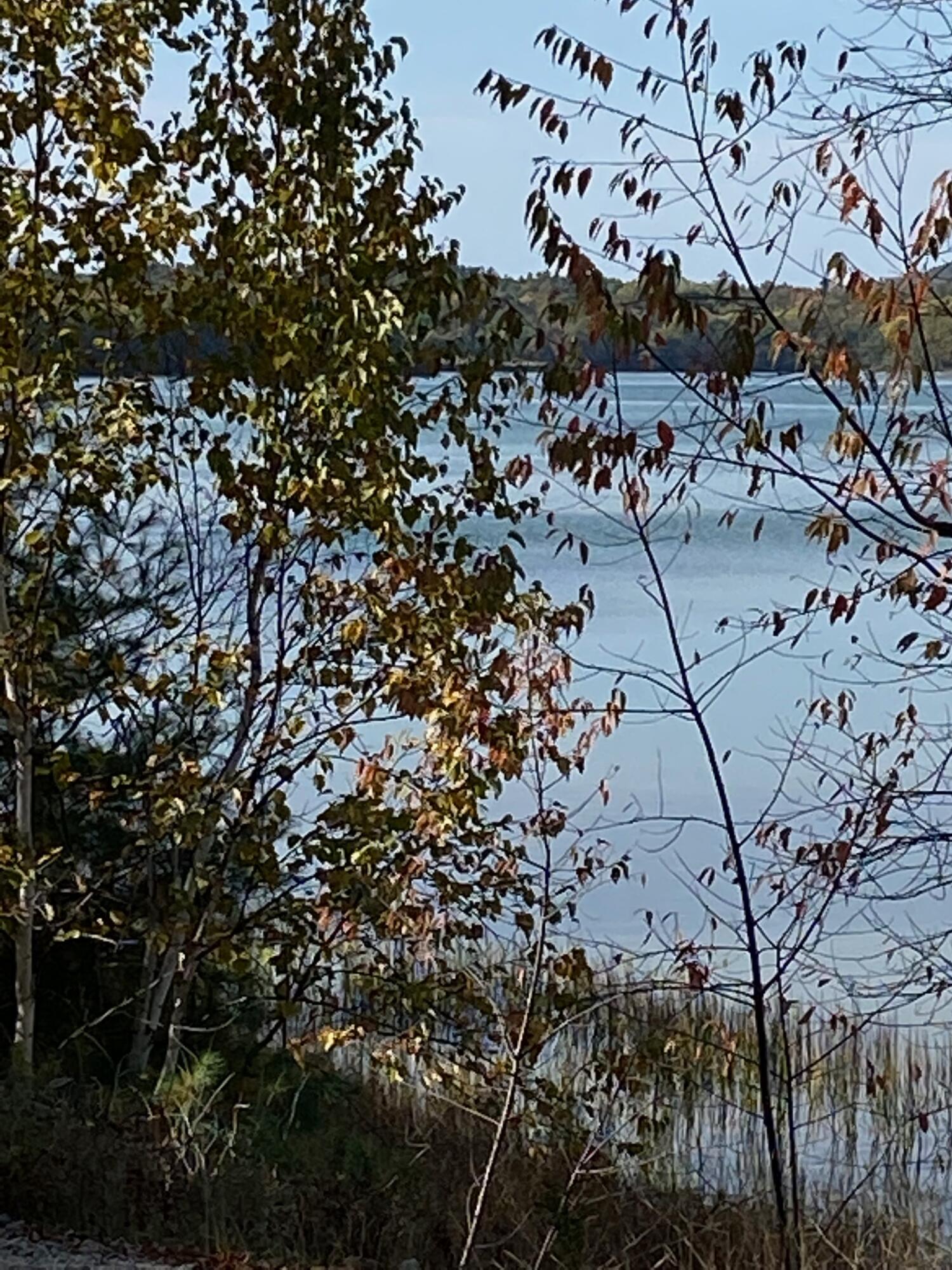 0 South Bay Road Franklin, ME 04634 - Photo 15 of 16 IMG_0437