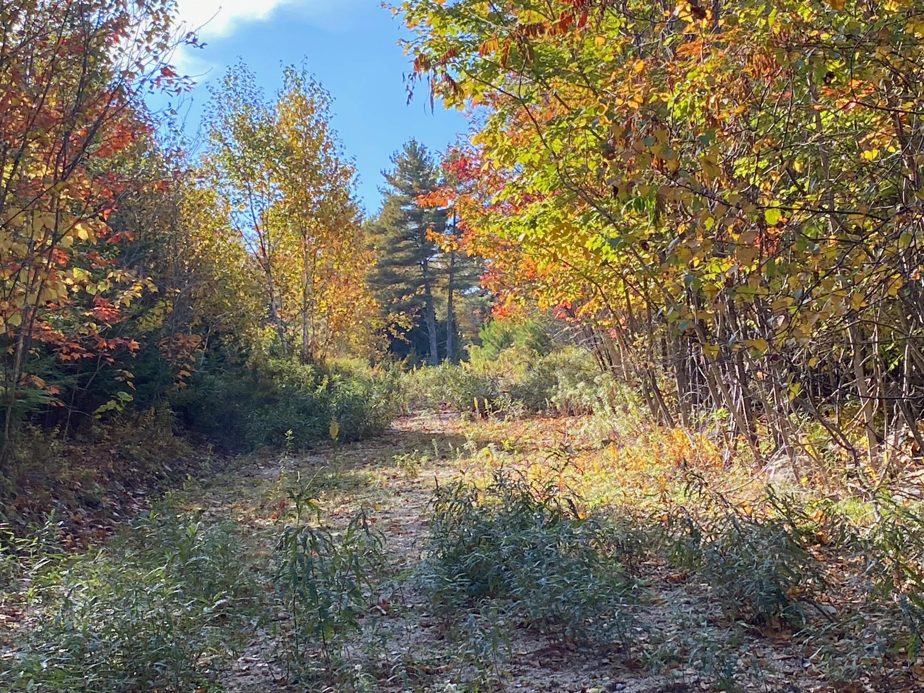 0 South Bay Road Franklin, ME 04634 - Photo 4 of 16 IMG_0414