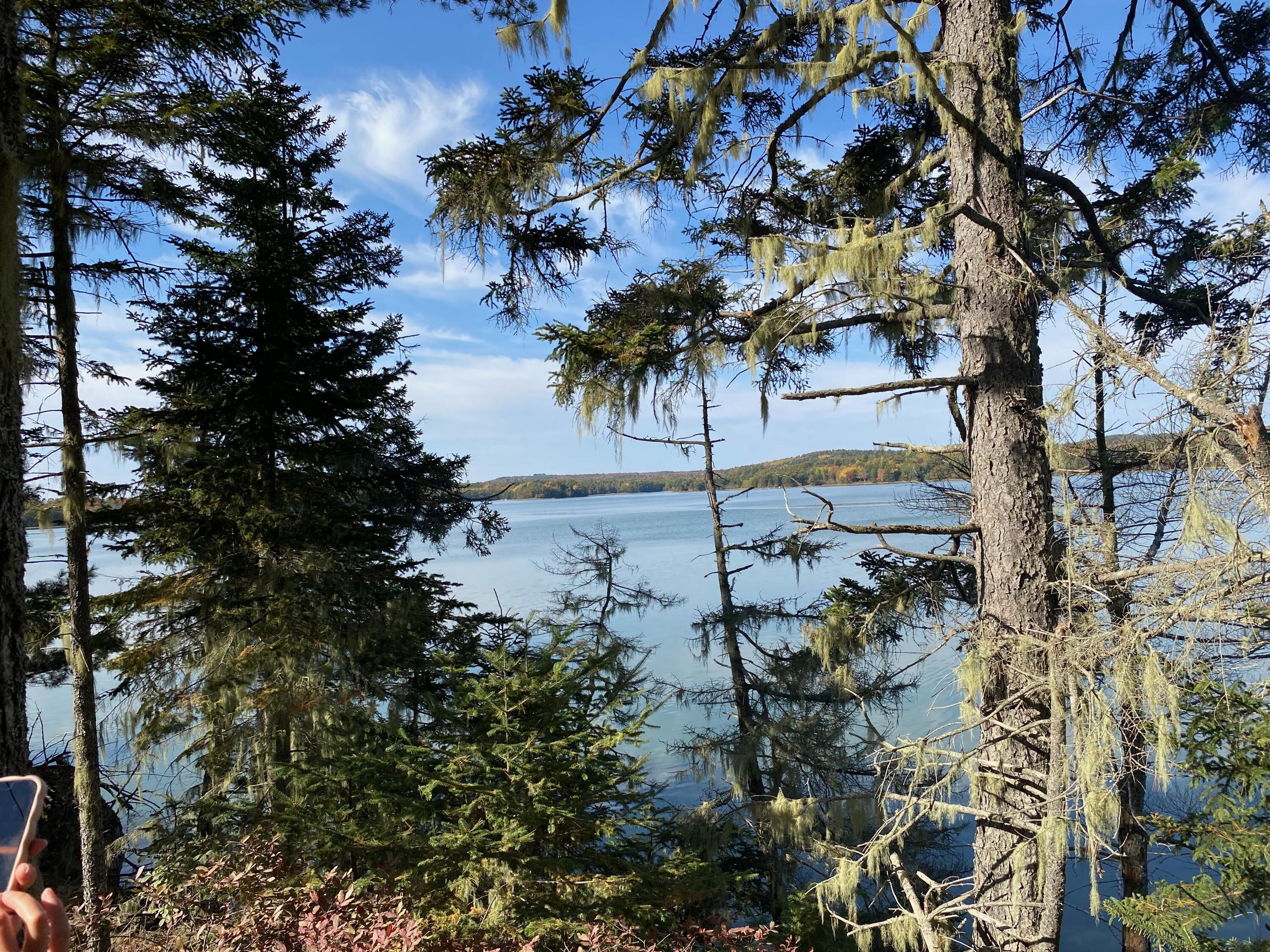 0 South Bay Road Franklin, ME 04634 - Photo 6 of 16 IMG_0422