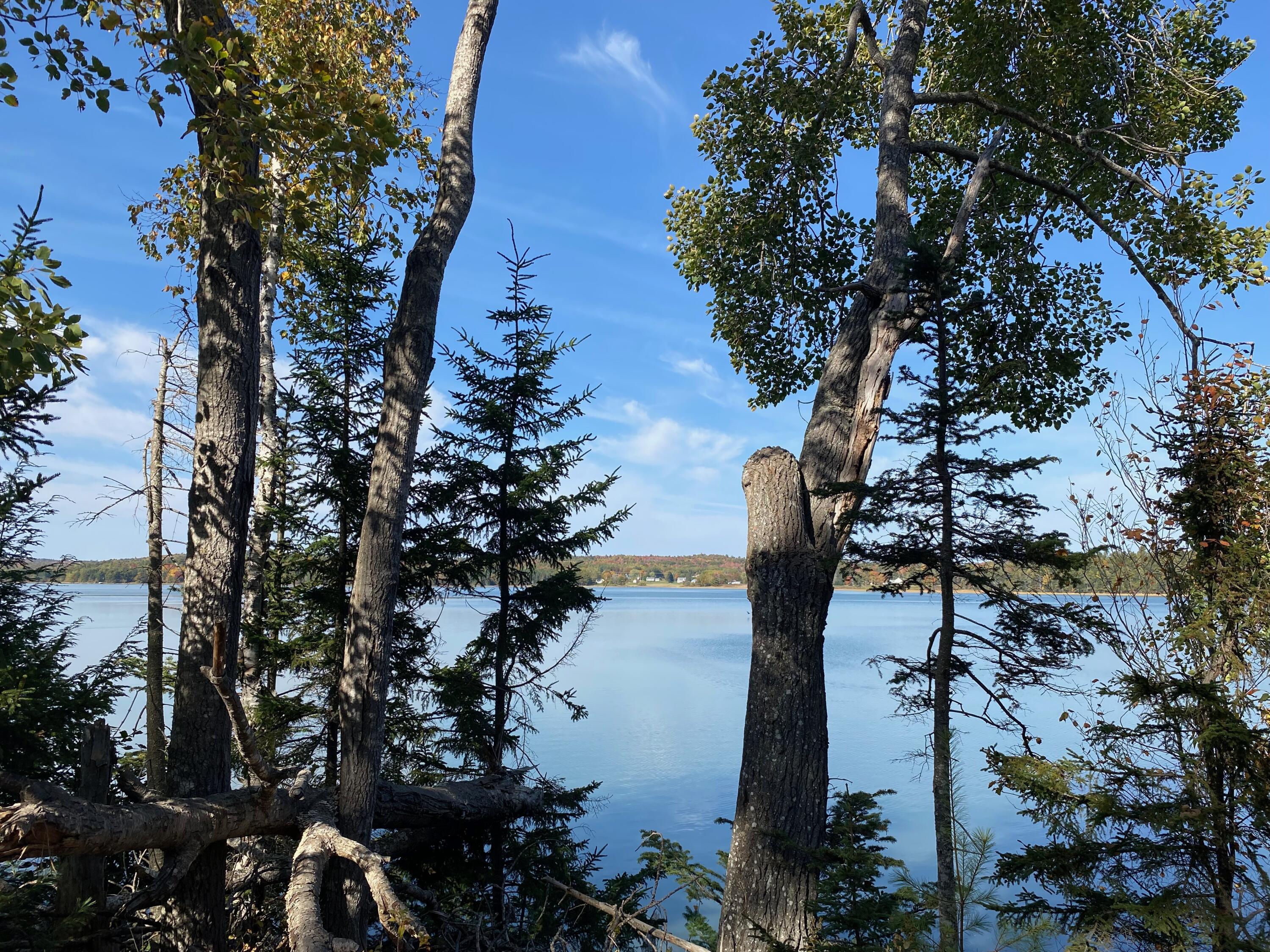 0 South Bay Road Franklin, ME 04634 - Photo 7 of 16 IMG_0409