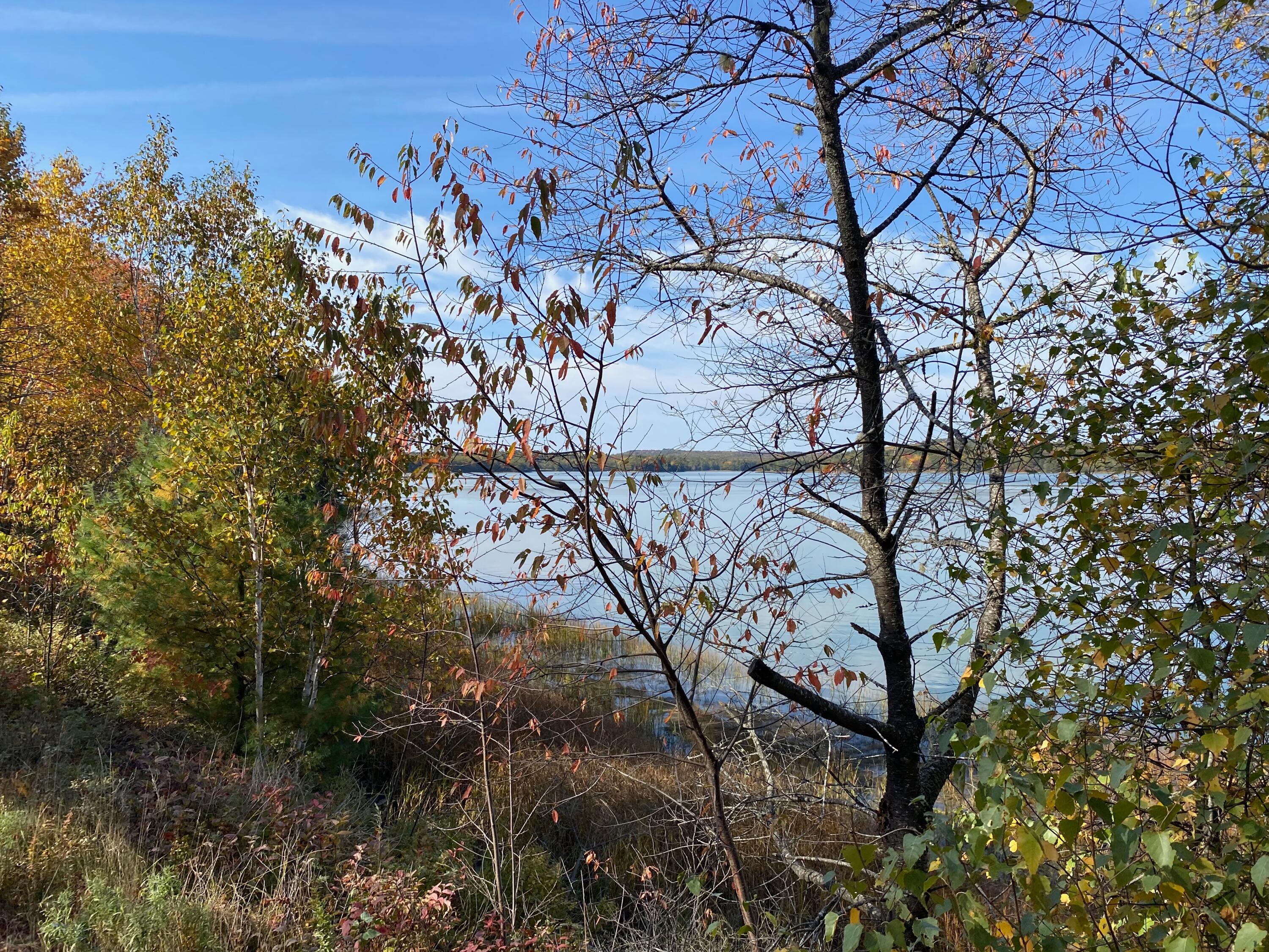 0 South Bay Road Franklin, ME 04634 - Photo 8 of 16 IMG_0410