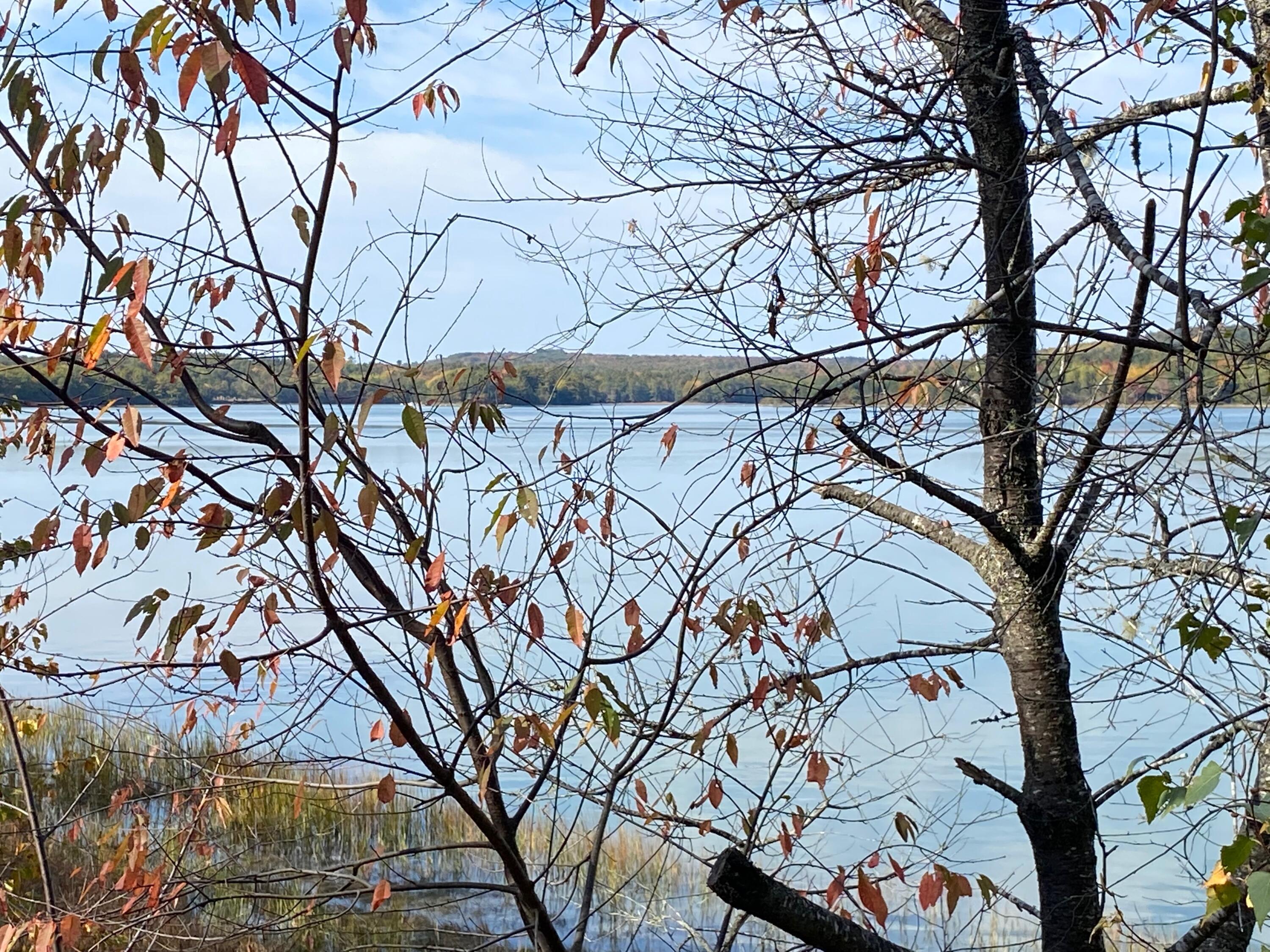 0 South Bay Road Franklin, ME 04634 - Photo 9 of 16 IMG_0411