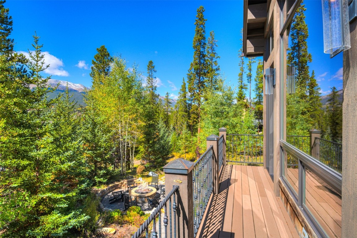 67 Rounds Road Breckenridge, CO 80424 - Photo 41 of 47 a view of balcony with plants
