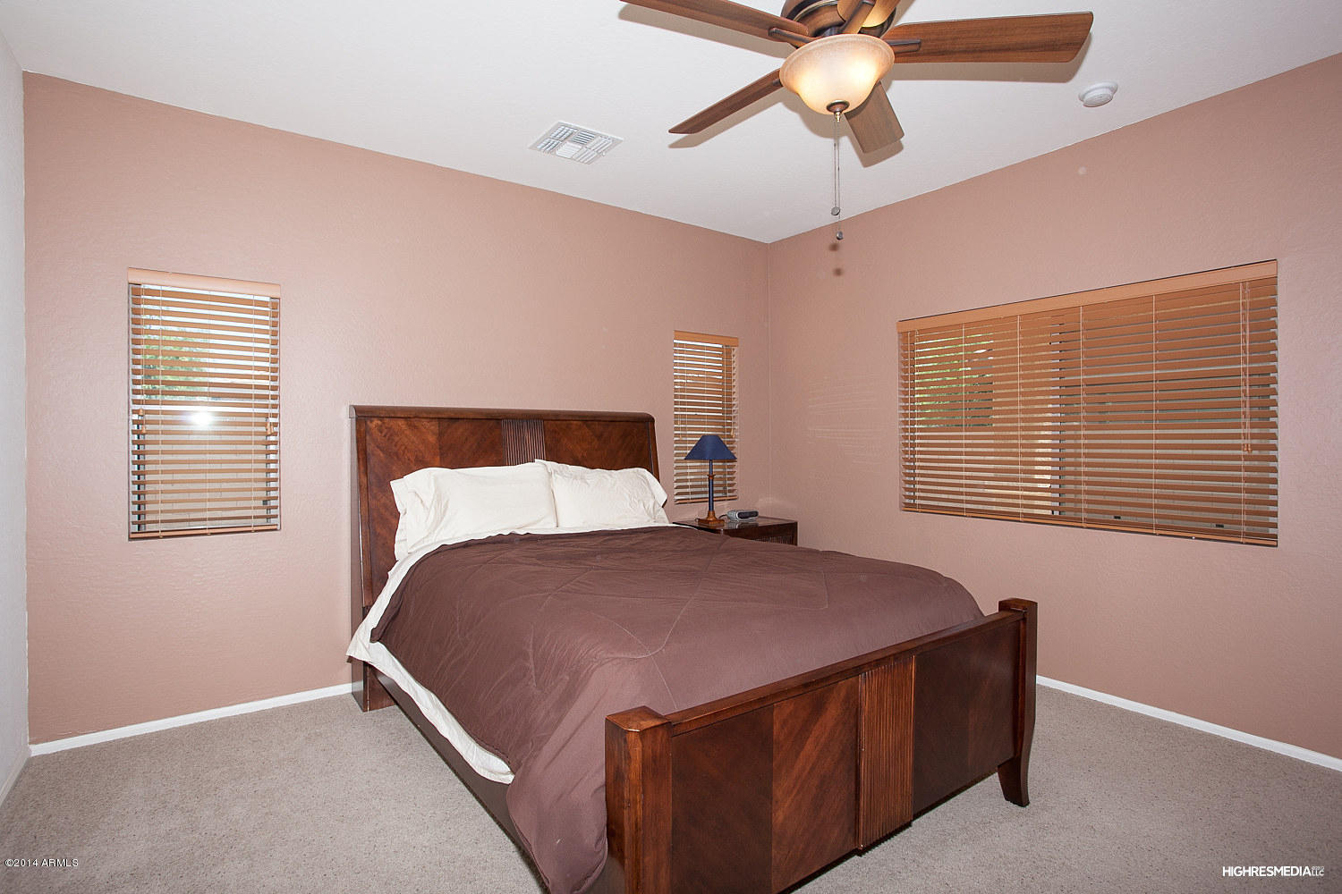 948 East Randy Street Avondale, AZ 85323 - Photo 11 of 22 Master Bedroom