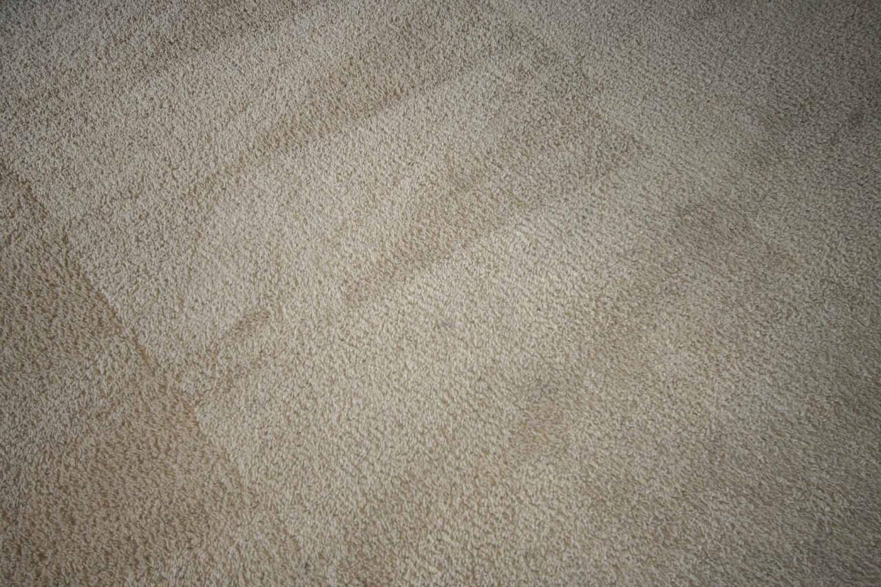 408 East Shawnee Road San Tan Valley, AZ 85143 - Photo 17 of 46 Carpet