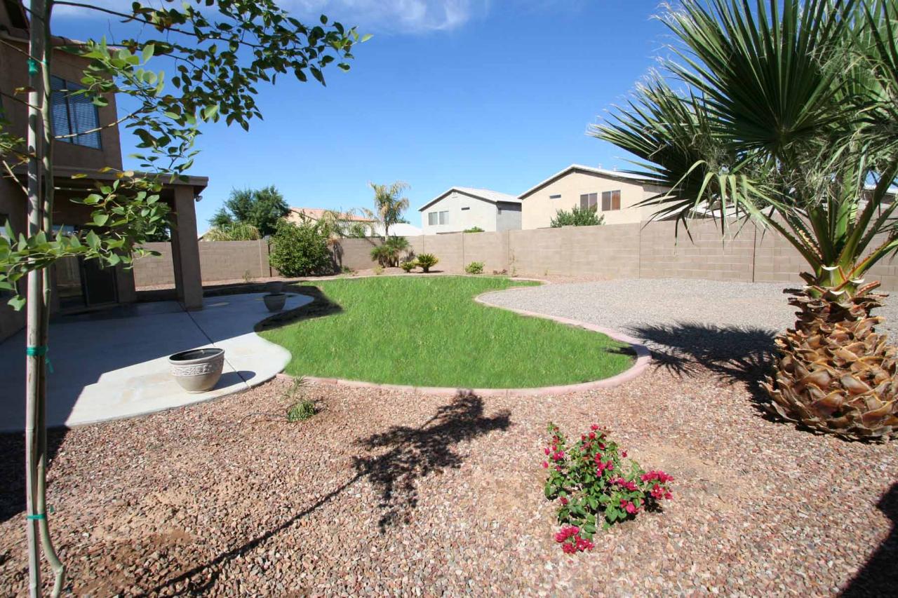 408 East Shawnee Road San Tan Valley, AZ 85143 - Photo 39 of 46 Backyard