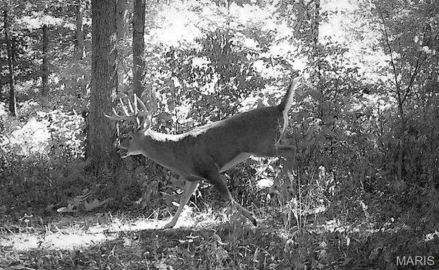 $675,000 | 6640 Hwy Bb, Huntsville, MO 65259