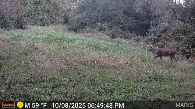 $675,000 | 6640 Hwy Bb, Huntsville, MO 65259