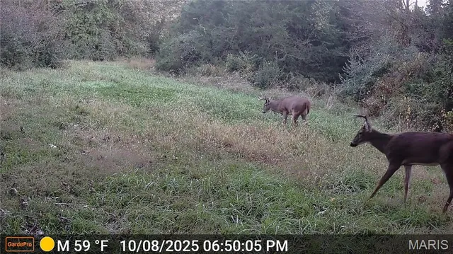 $675,000 | 6640 Hwy Bb, Huntsville, MO 65259