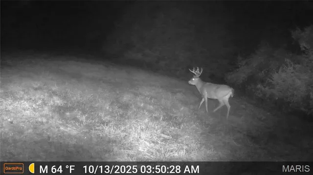 $675,000 | 6640 Hwy Bb, Huntsville, MO 65259