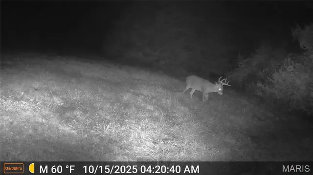 $675,000 | 6640 Hwy Bb, Huntsville, MO 65259