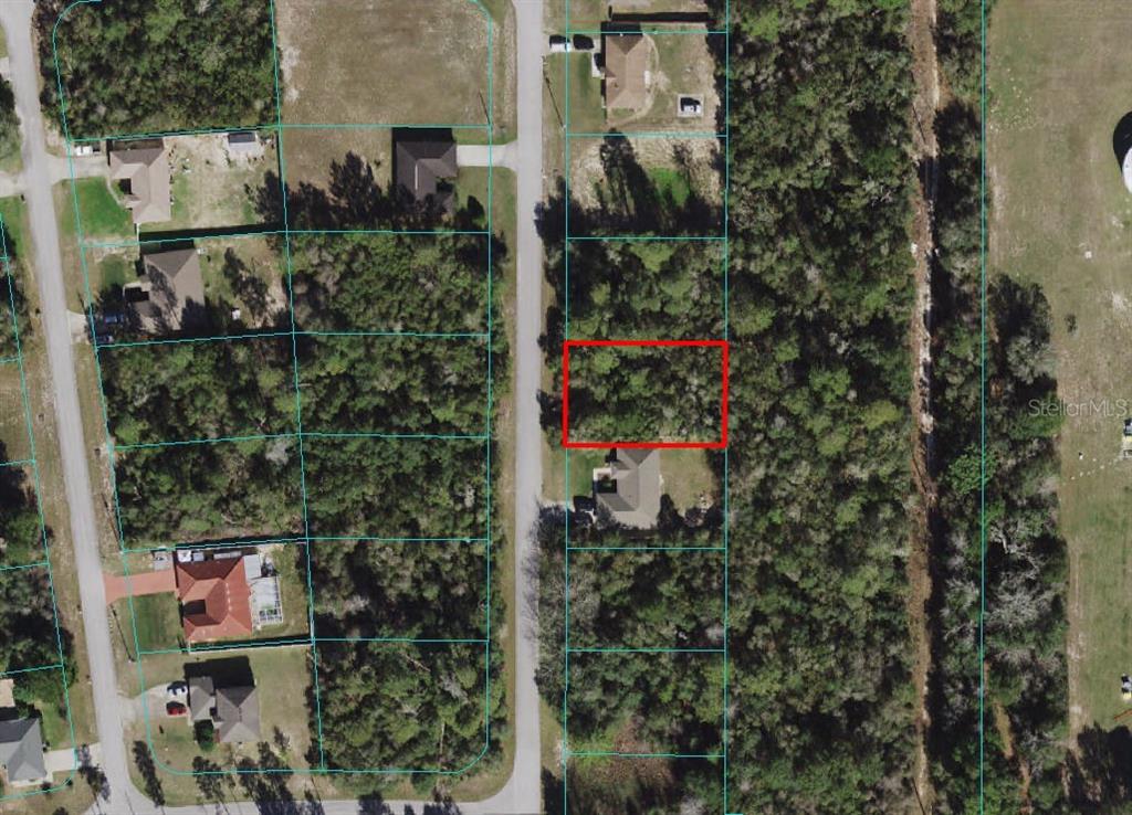 Tbd Southwest Tbd Sw 153rd Ocala, FL 34473 - Photo 1 of 1