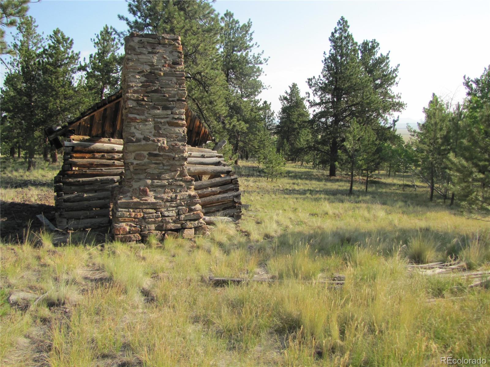 9736 Ranch Road Hartsel, CO 80449 - Photo 12 of 30 Gallery Image 12