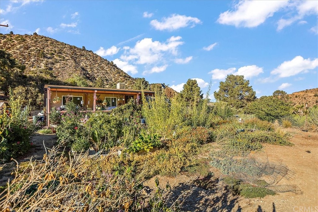 1614 Desert Front Road Pinon Hills, CA 92372 - Photo 19 of 24