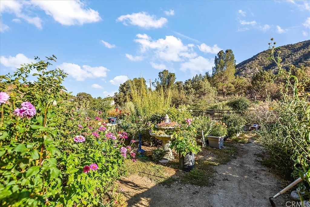 1614 Desert Front Road Pinon Hills, CA 92372 - Photo 23 of 24