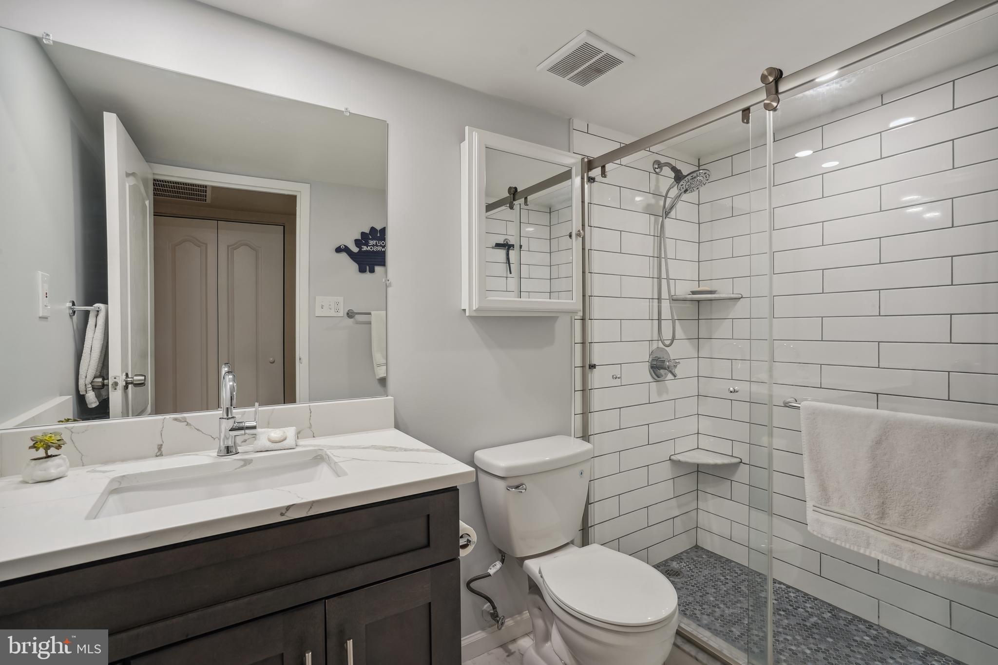 11204 Chestnut Grove Square, Unit 11204108 Reston, VA 20190 - Photo 19 of 40 a bathroom with a sink toilet and shower