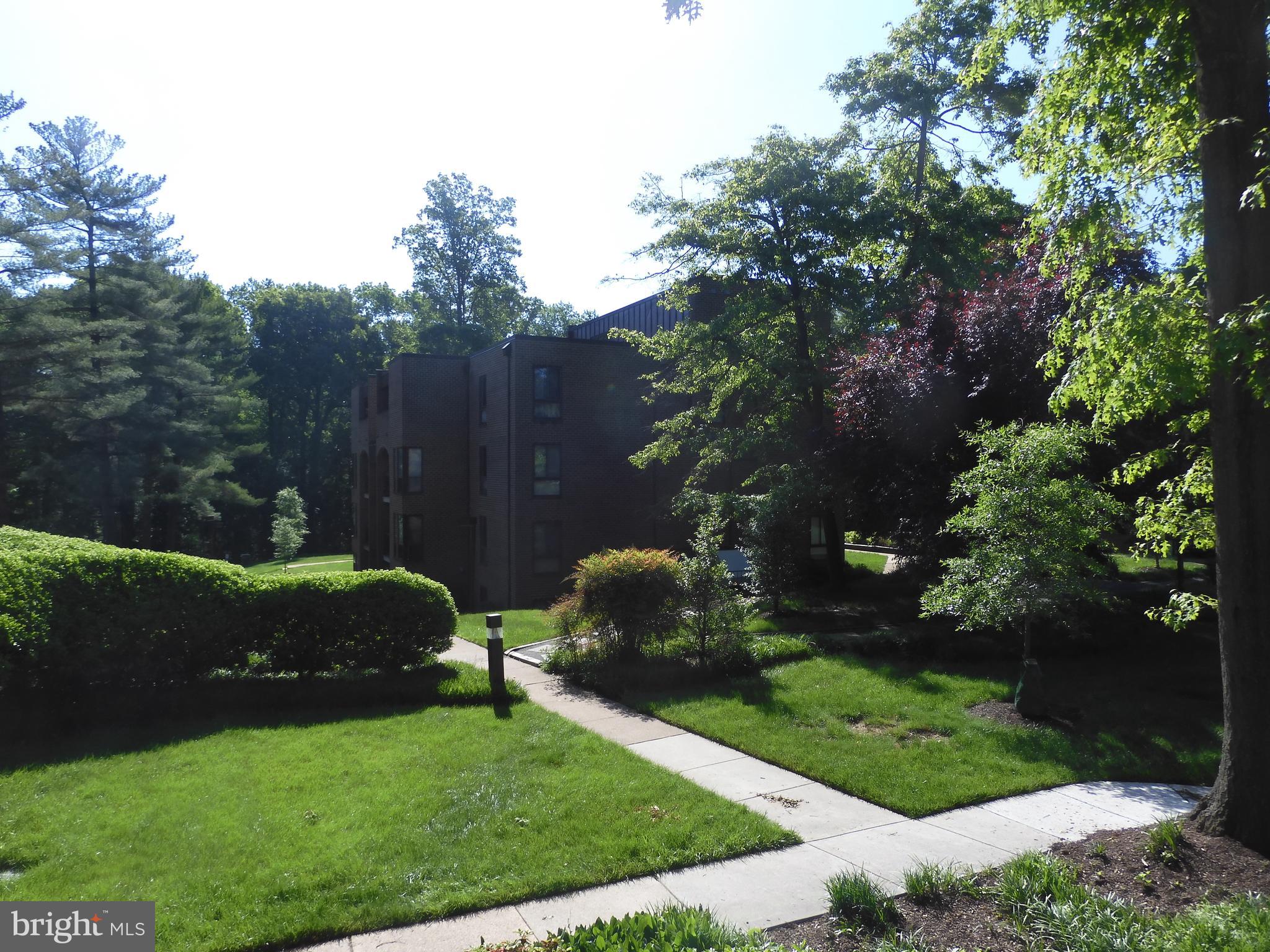 11204 Chestnut Grove Square, Unit 11204108 Reston, VA 20190 - Photo 26 of 40 a backyard of a house with lots of green space