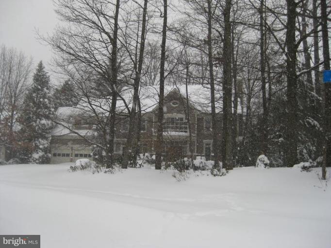 1309 Stamford Way Reston, VA 20194 - Photo 29 of 30 Wooded View / Acreage