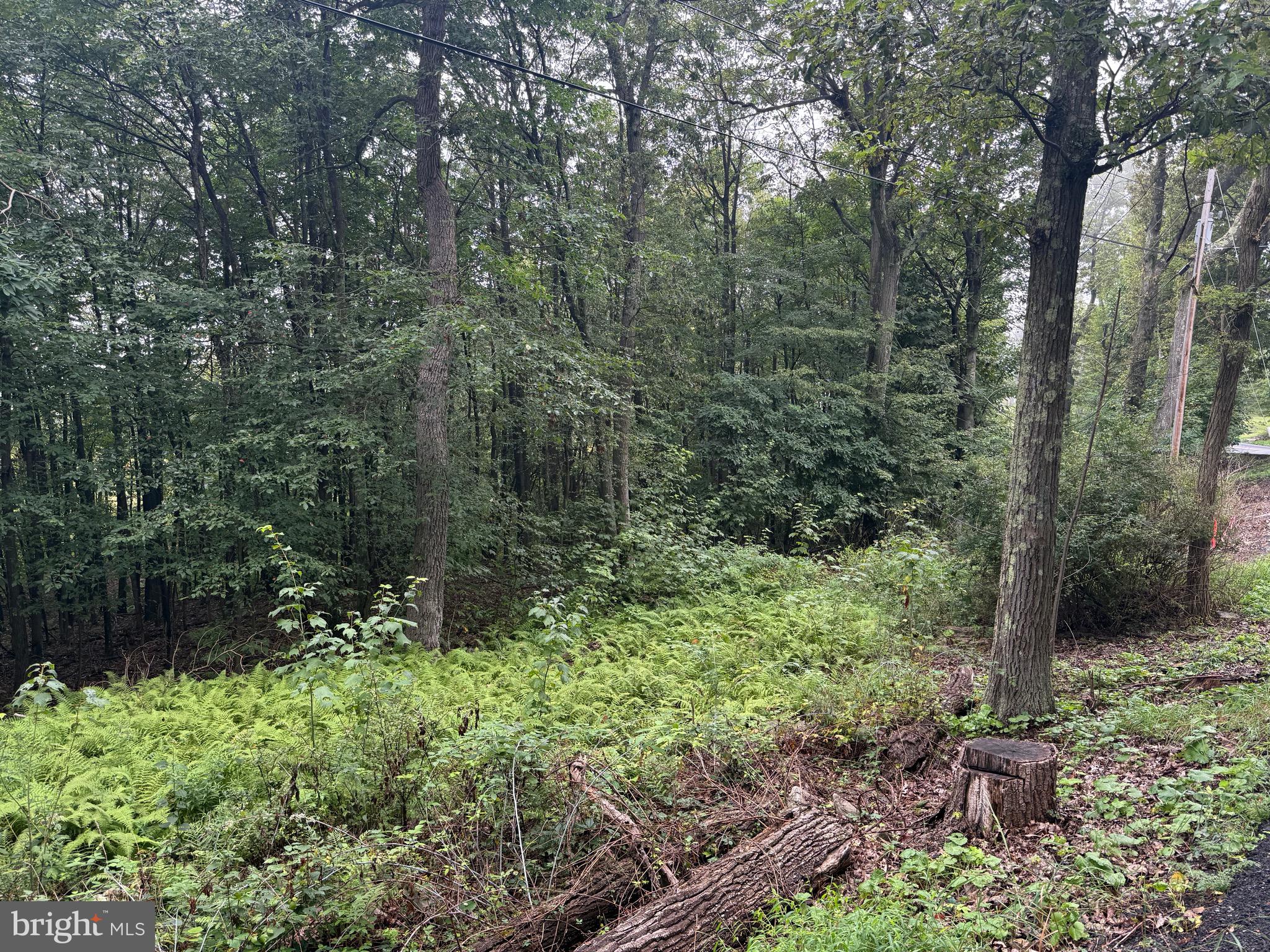 0 Pinnacle Road Keyser, WV 26726 - Photo 58 of 61