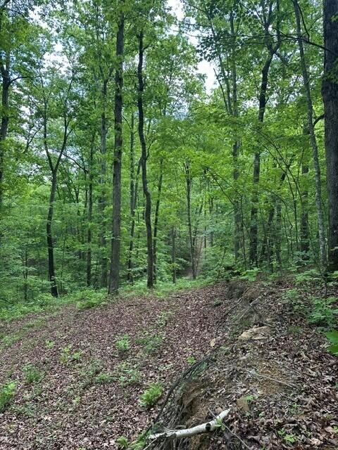 142 Cole Road Deer Lodge, TN 37726 - Photo 23 of 77 26