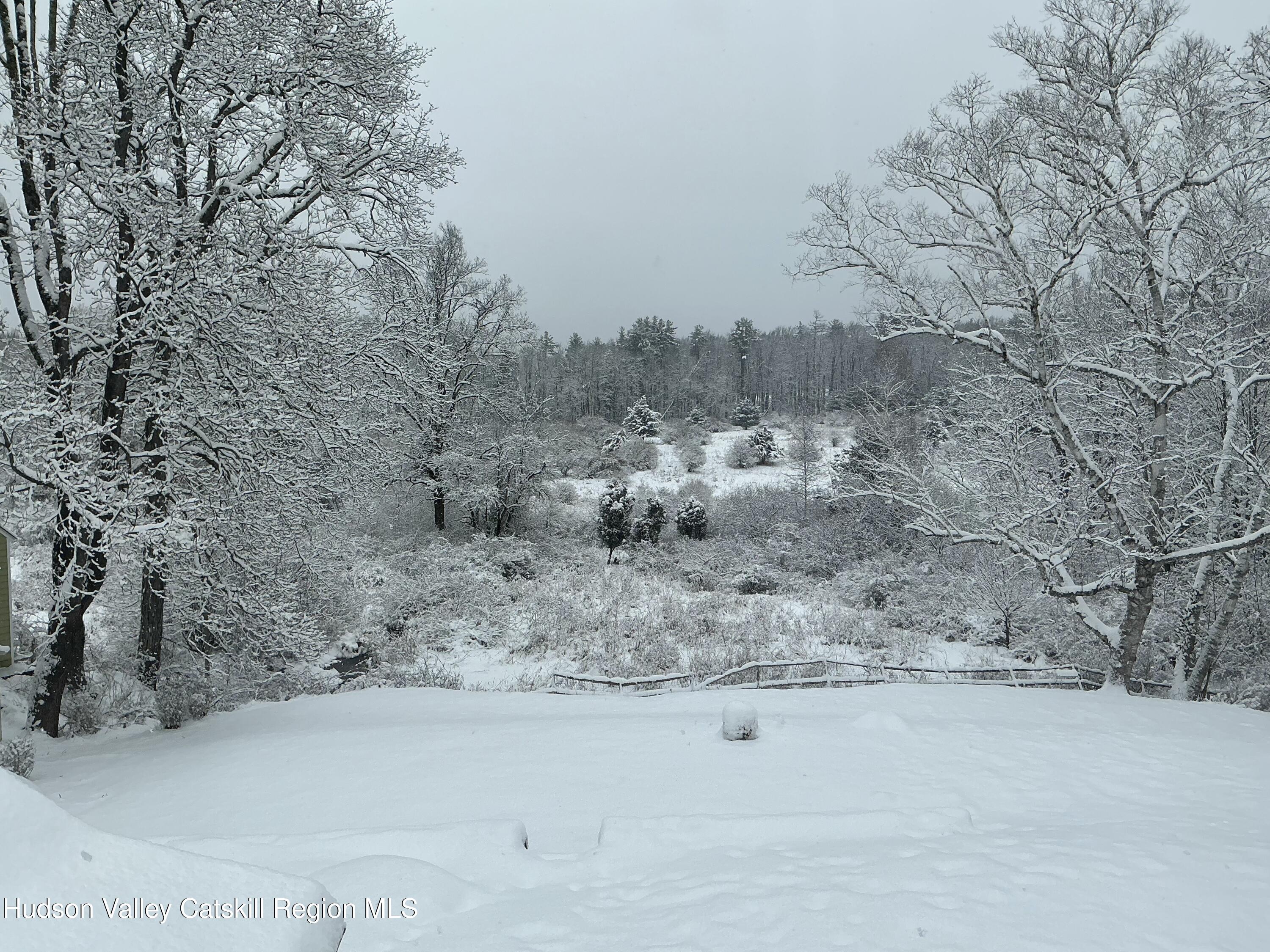 96 Wittenberg Road Bearsville, NY 12409 - Photo 41 of 41 29 WinterGarden