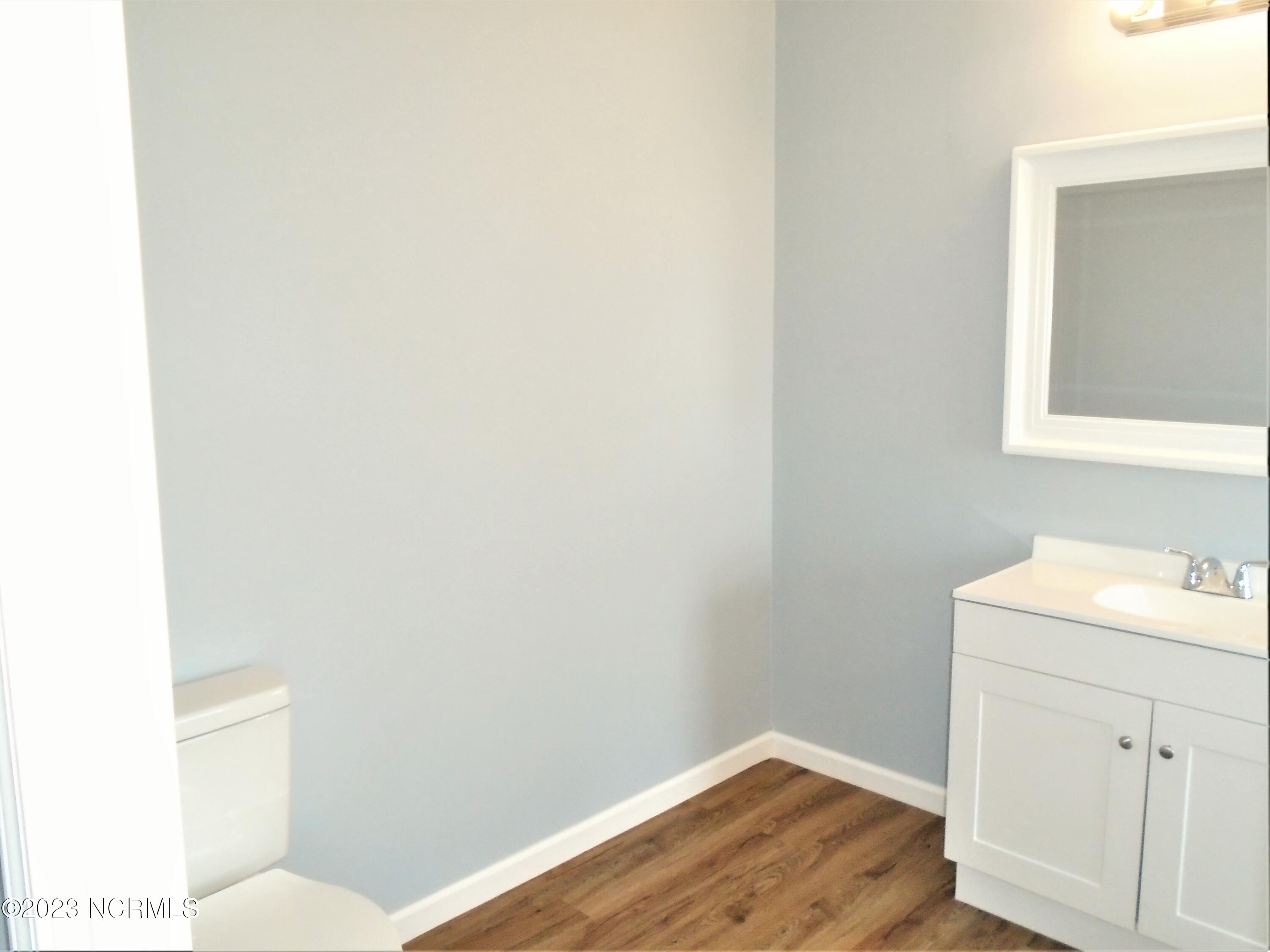 94 Sherlock Holmes Road Enfield, NC 27823 - Photo 23 of 26 Master bathroom is large enough to add additional shelving and a towels hamper.