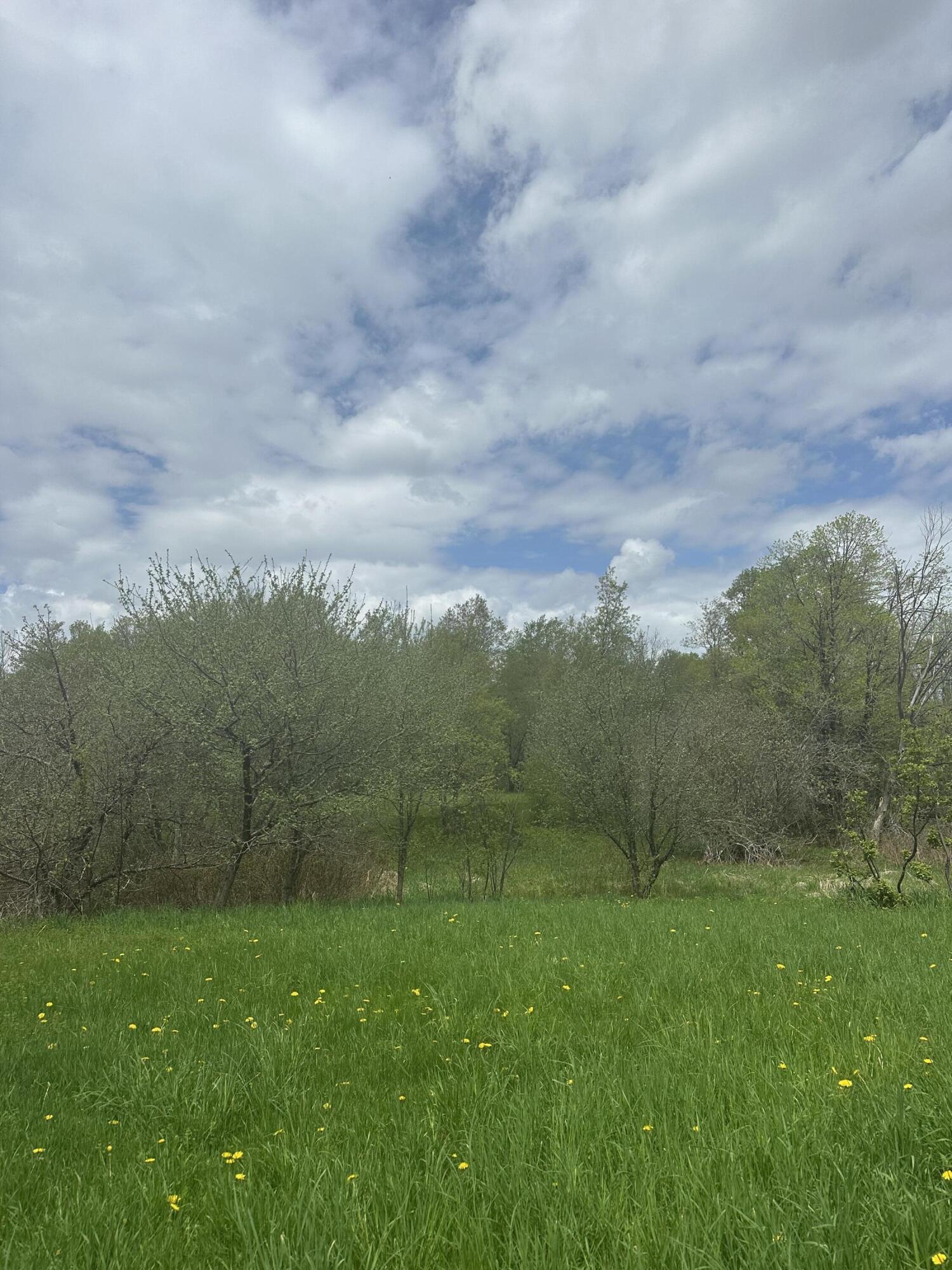 0 Rand Hill Road Beekmantown, NY 12992 - Photo 3 of 12