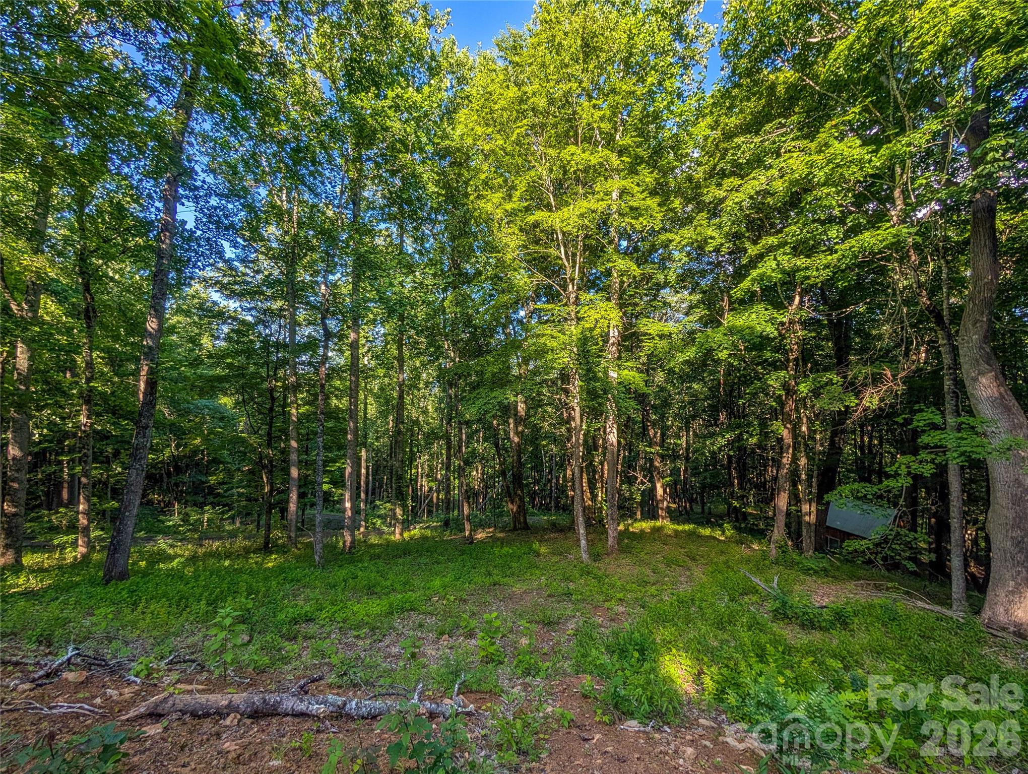 0 Amber Ranches, Unit 47 Bakersville, NC 28705 - Photo 12 of 18