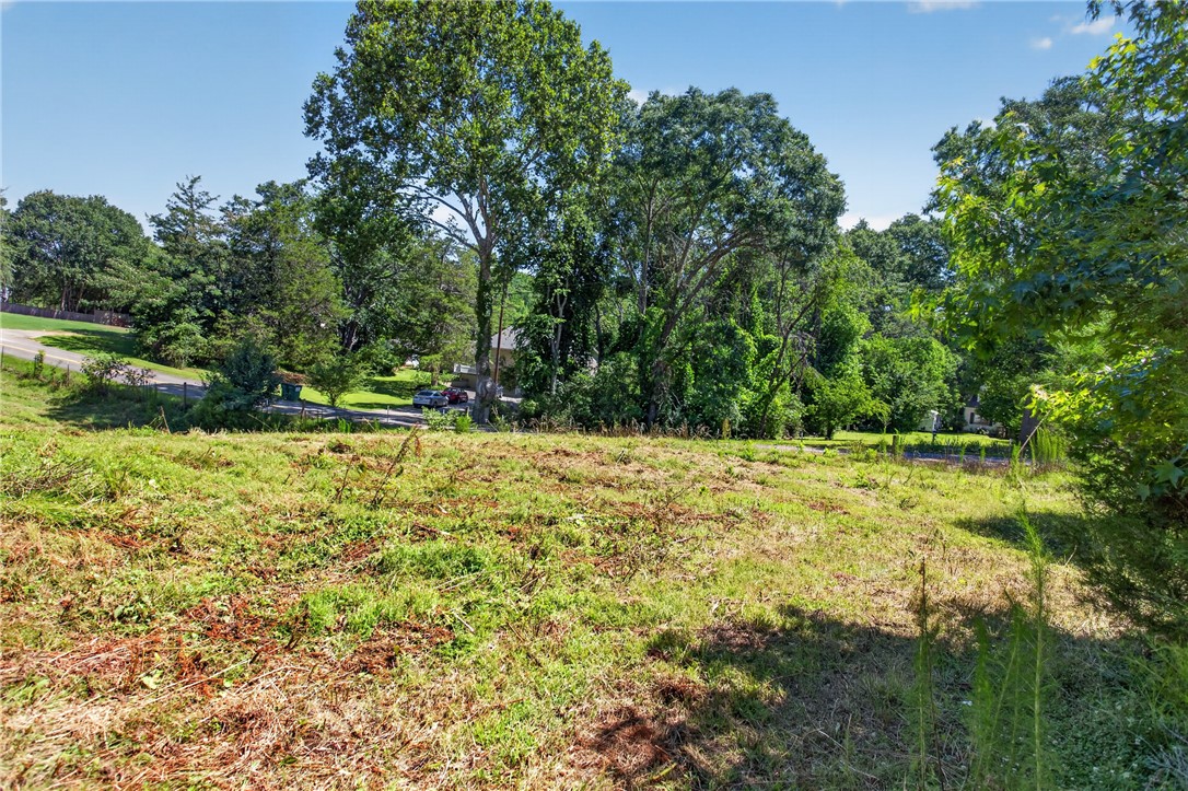 0 Seneca Springs Landing Road Seneca, SC 29678 - Photo 18 of 39 A spacious, verdant lot awaits your future home, bordered by mature trees and a quiet road.