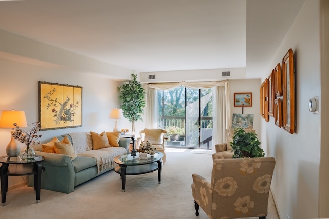 840 Elder Road, Unit A414 Homewood, IL 60430 - Photo 7 of 16 Gallery Image 7
