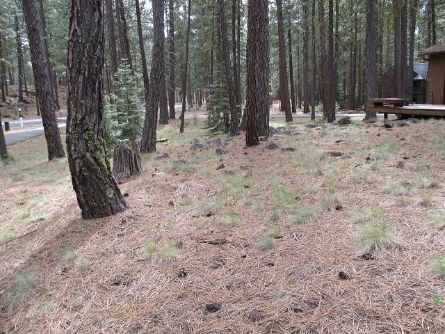 70782 Banberry Black Butte Ranch, OR 97759 - Photo 16 of 16 431-552465 FRONT YARD