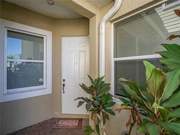 a plant that is sitting in front of a house