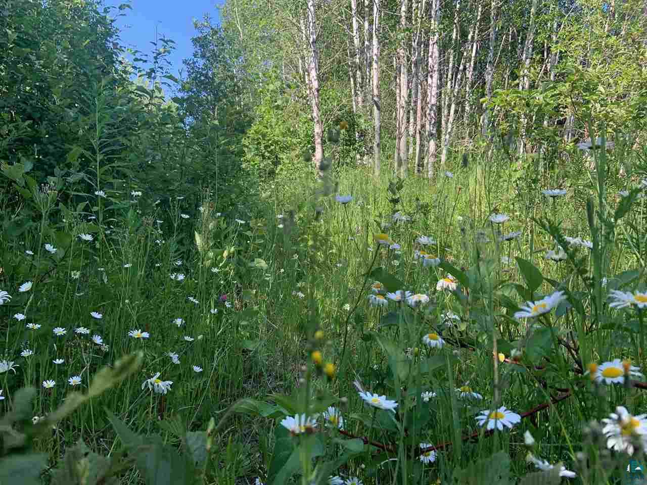 Xxx Flute Reed Road Hovland, MN 55606 - Photo 11 of 24