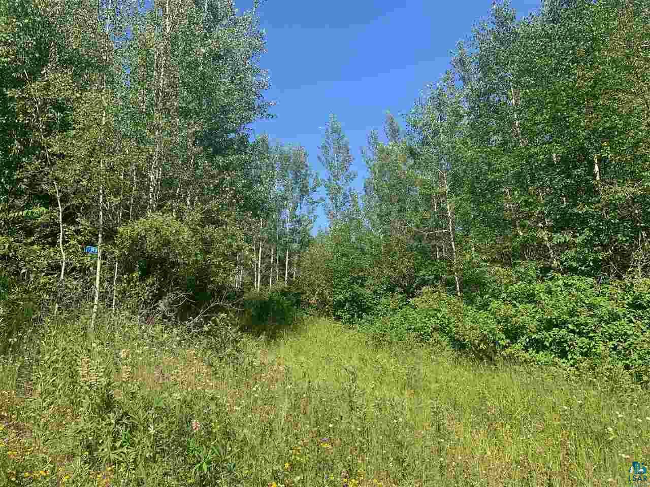 Xxx Flute Reed Road Hovland, MN 55606 - Photo 18 of 24