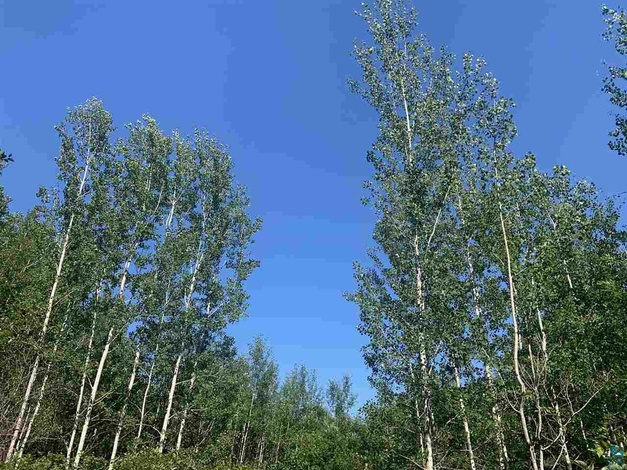 Xxx Flute Reed Road Hovland, MN 55606 - Photo 5 of 24