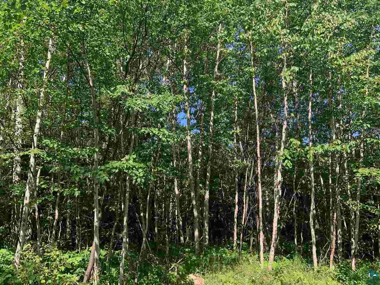 Xxx Flute Reed Road Hovland, MN 55606 - Photo 7 of 24