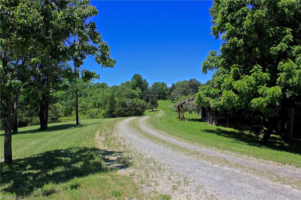 503 McKinney Road Reidsville, NC 27320 - Photo 2 of 28 Peaceful and private drive lined by fruit trees Lake #1, guest cottage, old farm shed, pecan trees, and so much more.