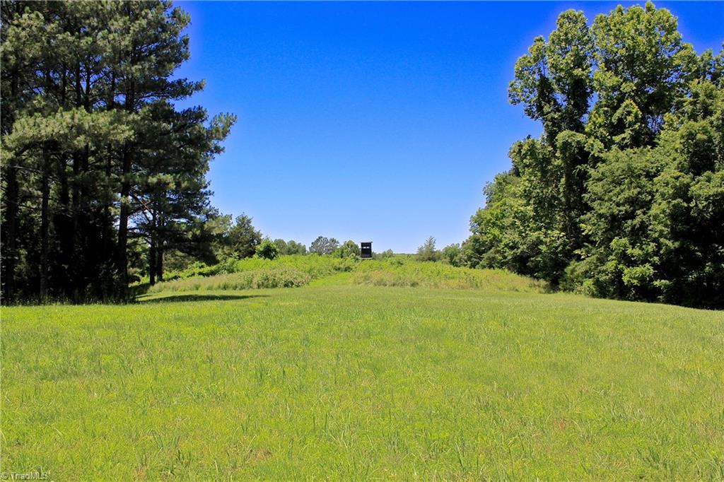 503 McKinney Road Reidsville, NC 27320 - Photo 17 of 28 Gallery Image 17