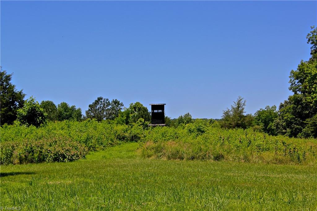 503 McKinney Road Reidsville, NC 27320 - Photo 18 of 28 One of several permanent hunting/observation blinds set up overlooking the land