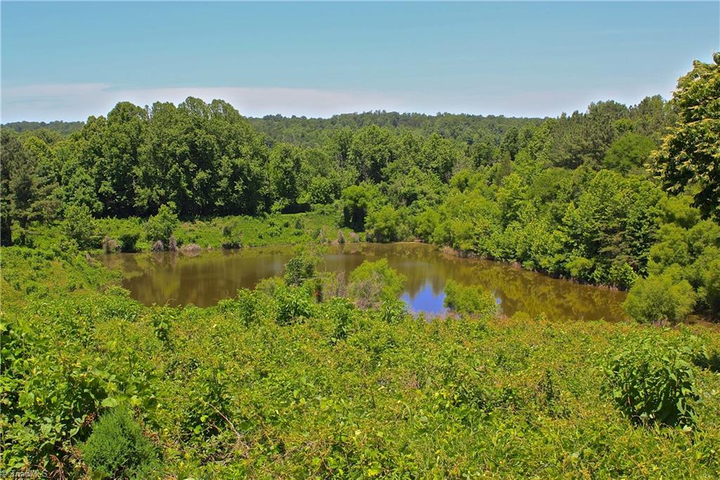 503 McKinney Road Reidsville, NC 27320 - Photo 19 of 28 Lake/pond #2 the smallest of the bodies of water.