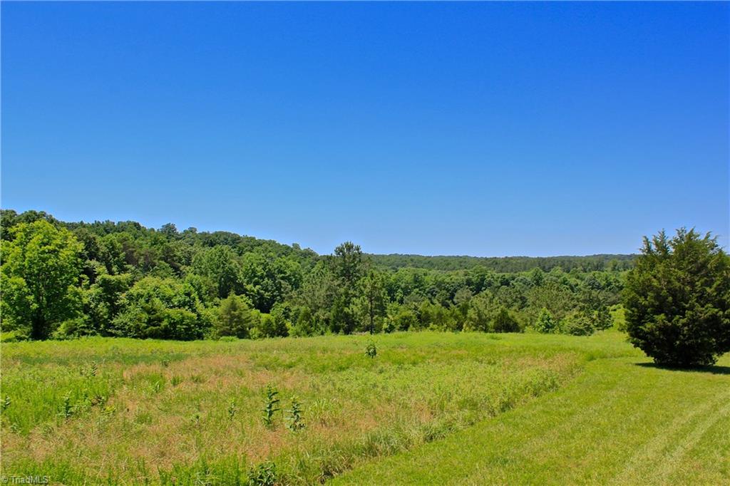 503 McKinney Road Reidsville, NC 27320 - Photo 20 of 28 Gallery Image 20